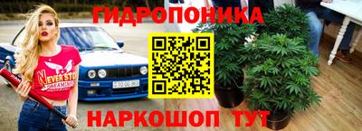 MESCALINE Дубна