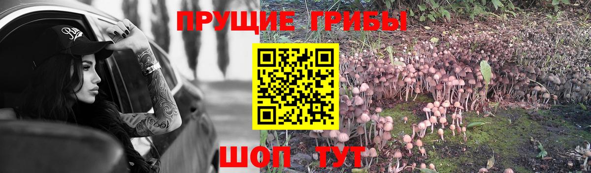 Галлюциногенные грибы прущие грибы  Вход с VPN  Назрань 